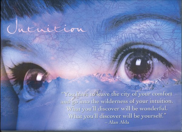 intuition goodman intuition goodman