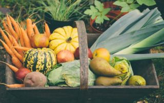 Healthy Holiday Eating with Dr. Kerie Raymond, ND 4