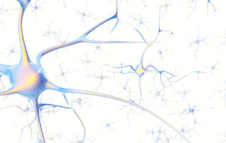 Nervous System RESET- April 27-28th 4 Nerve Network small 1