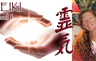 Reiki Level 1 Workshop - January 12 2