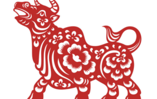 New Opportunities Abound in the Year of the Ox 7