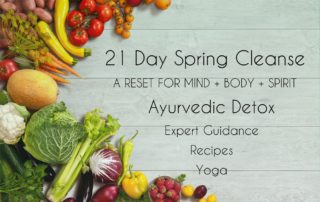 21 Day Spring Cleanse - Reset for Mind, Body, Spirit 3 21 days