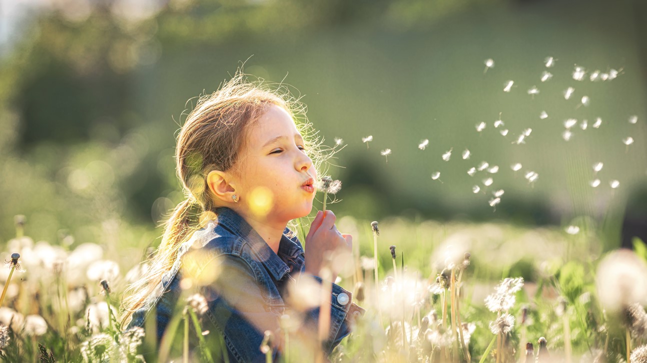 Taking the bite out of seasonal allergy symptoms 2 If you are looking for healthier ways for treating seasonal allergies, naturopathic medicine offers many alternatives.
