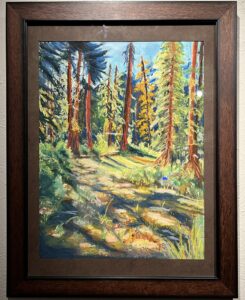 IMG 2391 scaled e1732202312689