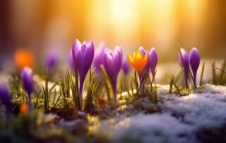 Spring -- As the world around us wakes up, many people also experience a seasonal shift in their health—especially when it comes to allergies.