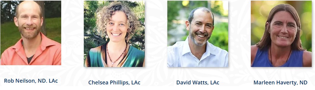 acupuncture practitioners 1