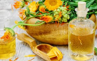 Calendula (Calendula officinalis), also known as pot marigold, is one of those herbs that looks as cheerful as it is healing. With its brilliant golden-orange petals and long history in traditional medicine, calendula has earned a reputation as a flower that supports both beauty and health.